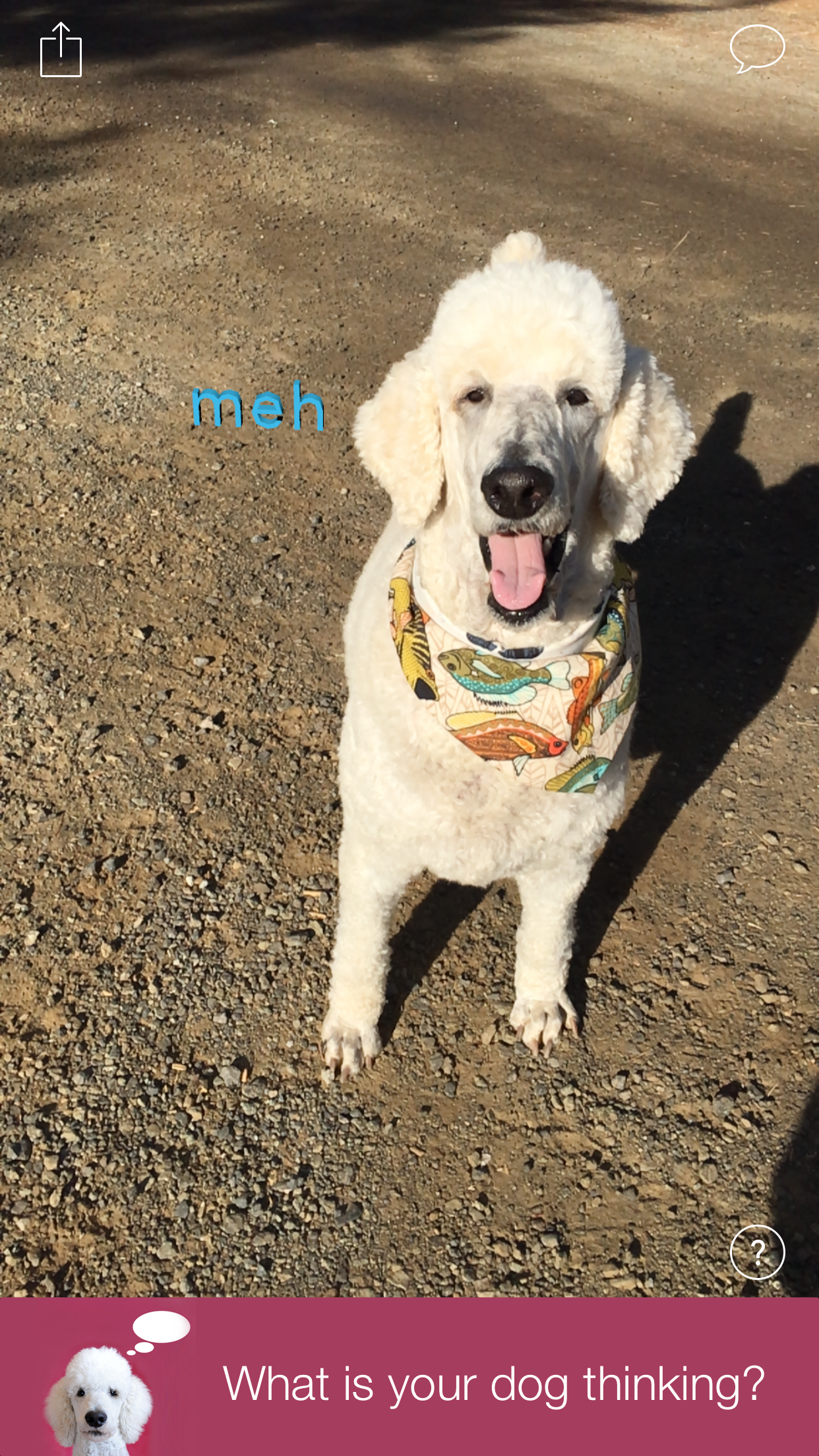 AnimalAnalysis screenshot